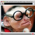 monkey monkey