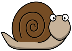 snail