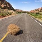 tumbleweed